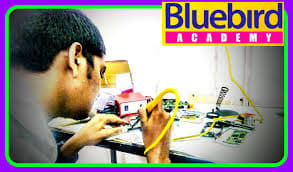 Bluebird academy bluebird academy photo 4